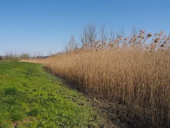 Kalkense Meersen (België)